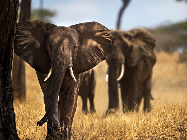 Tanzania adventures from Arusha